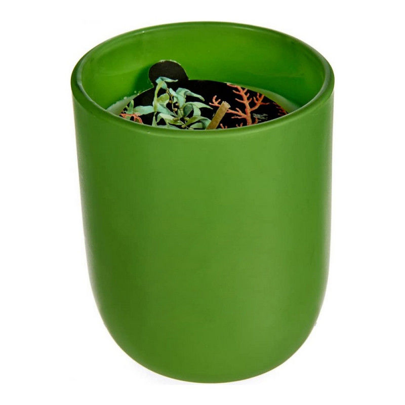 Vonná sviečka " Orientálny raj", zelená (7 x 8 x 7 cm)