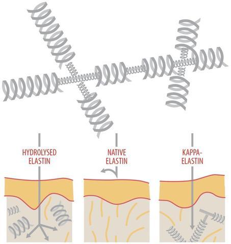 K'Derm Okamžitý Vyplňovač Vrások - Ozdravný krém proti starnutiu pleti