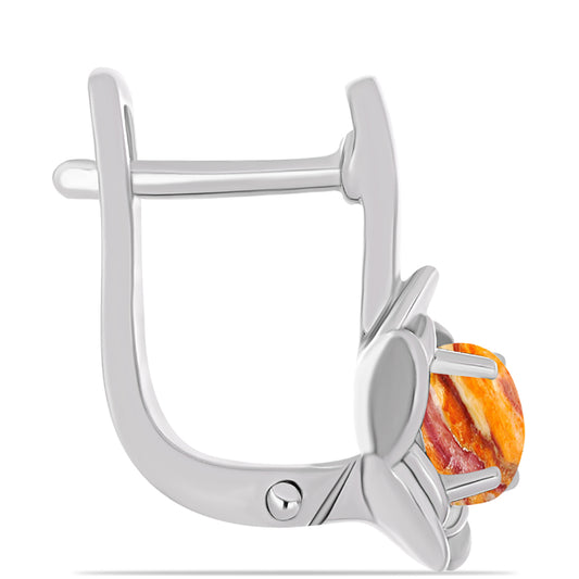 Strieborné Náušnice s Jaspisom Leví Tlapa