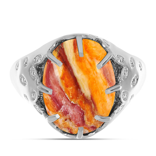 Strieborný Prsteň s Jaspisom Leví Tlapa