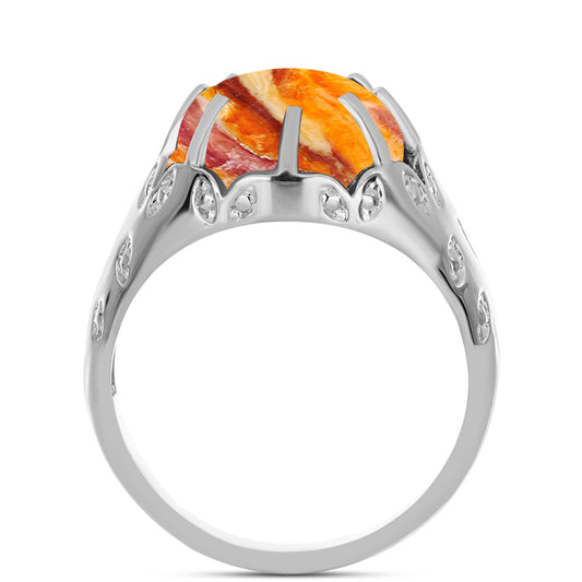 Strieborný Prsteň s Jaspisom Leví Tlapa