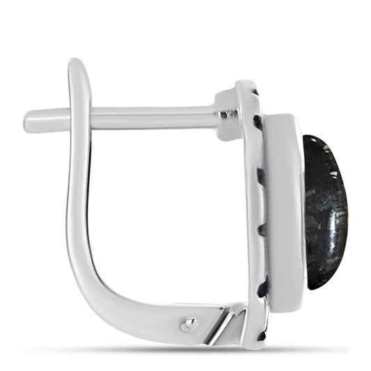 Strieborné Náušnice s Picasso Jaspisom