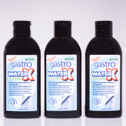 Gastro Prostriedok na ošetrenie skla, 3x100 ml