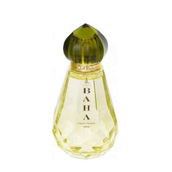 100 ml Eau de Parfume Baha svieža citrusová drevitá Vôňa pre mužov